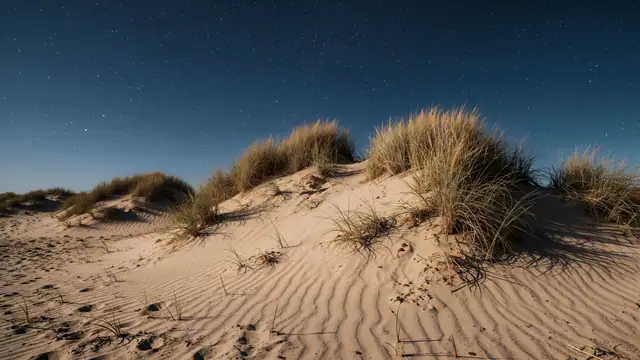 Desert Dunes at Night — desert, stars, night wallpaper
