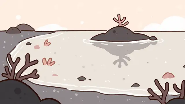 Tide Pool Dawn — underwater, ocean, pastel wallpaper
